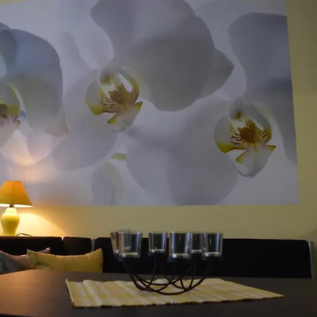 Medical Apartament