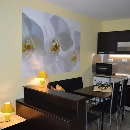 Apartment Medical