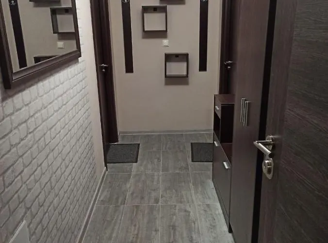 Medical * 普罗夫迪夫